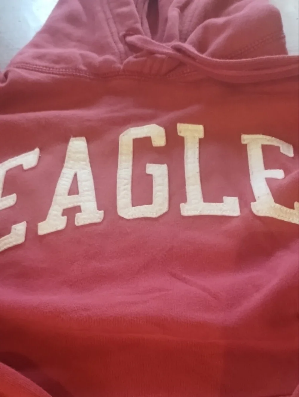 Women's  American Eagle Hoodie Sweater Subcategory Classification